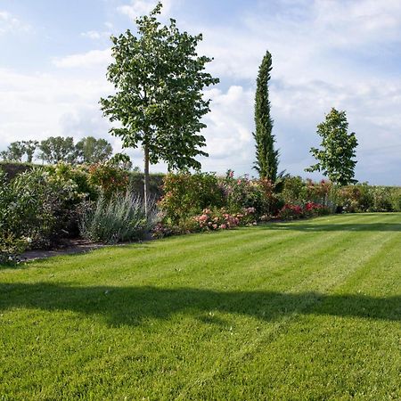 Agriturismo Borgonuovo Rimini Eksteriør billede