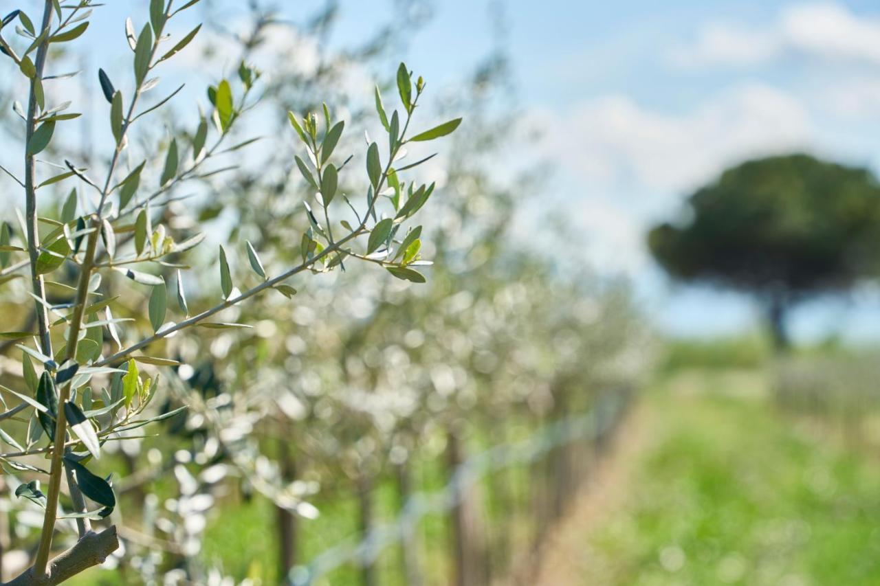 Agriturismo Borgonuovo Rimini Eksteriør billede